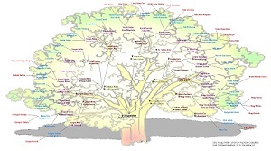 A 2013.08.25-i találkozóra készült családfa.